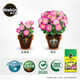 Meileke universal nutritional soil for flower cultivation and flower fertilizer for planting soil flowers soil vegetable soil potted green plant special soil 100L
