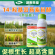 14-Hydroxybrassinosteroid relieves phytotoxicity, cold-proof and frost-resistant rice plant crop growth regulator 100 ml 14-Hydroxybrassinosteroid *1 bottle