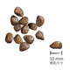 Little plums, German little plums, fresh meat, cat food, nutritional staple food [authorized store] Fresh meat series duck meat 4kg valid until 25.8 months
