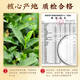 Zhonggu Imperial Tea Special Class Anxi Tieguanyin Xianghua High Mountain Orchid Duft Oolong Tee neuer Tee Mid-Autumn Festival Tee Geschenkbox 400g