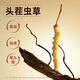Ayishe Cordyceps Sommer Zuckermüll Geschenk gebrochen Cordyceps schickt Eltern zu den Eltern, um älteren Menschen zu Hause zu helfen, Ernährungs- und Selbstkaufsbox Large Broken Gras 100g [familie erschwingliche Paket] zu verwenden.