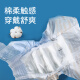 Honeycare Dog Diapers Large Female Dog Menstrual Pants Sanitary Napkins Menstrual Pants M Suitable for Weight 4-9kg 12 Pieces Female Baby Model - Size L Recommended Waist Circumference 35-54cm