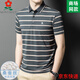 MONTAGUT Men's Mulberry Silk Short Sleeve T-shirt Summer Middle-aged Business and Casual Striped Lapel POLO Shirt A829-Blue 3XL 185 Suitable for 165-185Jin [Jin equals 0.5 kg]
