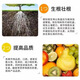 Mineral source potassium fulvic acid export grade Wujin 99 mineral source potassium fulvic acid vegetable and fruit crops take root and increase production 5Jin Jin equals 0.5kg sub-package