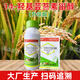 14-Hydroxybrassinosteroid relieves phytotoxicity, cold-proof and frost-resistant rice plant crop growth regulator 100 ml 14-Hydroxybrassinosteroid *1 bottle