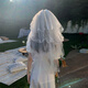 Bangboshi Veil Proposal, Certificate, Wedding Confession Props, Fairy Bow Veil, Super Fluffy Photo Atmosphere Props, Pearl Veil Hairpin Style