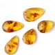 
DL 1998 Fat Donglai Quality Amber Beeswax Raw Stone Tianl Flower Amber Water Drop Shape One Picture Tianl Ran Golden Woman Sweater Chain G3879