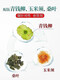 Beijing Tongrentang Qingqianliu Bufanda de maíz té té de hojas de morera bajando glucemia y té arterial té genuino ácido úrico genuino compre 2 veces 3 en total 120 ciclos de paquetes ciclos