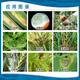Huifeng Huifeng makes 100g of 25% prochloraz, citrus sclerotium, anthrax, green mold, gibberellus, wilt pesticide and fungicide 1L