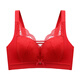 Langsha large size bra set for the year of the animal, big red, big breasts, smaller breasts, year of the horse, full cup bra, underwear for women