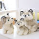 Strange chien en peluche chien chien husky poupée de jouet de jouet de simulation Erha Doll dormant avec cadeau d'anniversaire q version simulation husky poupée 20cm [smooth peluche 丨 adapté à la peau et délicate]