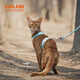 ZOOLAND cat traction rope to prevent break-away, walk large and small kittens, good-looking, lengthened, adjustable I-shaped chest and back, red tea orange L-recommended 5-16 Jin Jin equals 0.5 kg