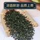 Gynostemum Wild Special Xinjiang Té verde Qian Liupingli Té tradicional Medicina china Luobuma Gynostemum 2 latas Gynostemum 500G