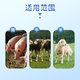 Male animal husbandry cloth combined with Zhizhi brucellosis to prevent ewe abortion, weak fetus and calf loss, veterinary feed additive for pigs, cattle and sheep 12 bags, most purchased
