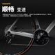 
PARDUS Ruibao Road Bike SUPER SPORT DISC Carbon Fiber R7020 Large Set of Hydraulic Disc Brake Bending Bicycle Pearl Dark Green L