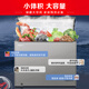 Xingx (XINGX) Xingxing Freezer Household Small 150/200/305 L L Refrigerated Freezer Dual-Purpose Fresh Cabinet Refrigerator First-Class Energy Efficiency Frost Reducing Single Door Freezer Official Flagship Store Upgraded Model -30 Deep Freezing丨PCM Steel Plate Liner 305 Liters