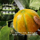 Long-cultivation Qiligan Xinjiang Laohan Melon Seeds Super Sweet Hami Melon Seeds Spring and Autumn Only Suitable for Northwest Specialty Fruit Seeds (10g x 2 Packs) Qiligan Musk Melon Seeds (Thick Skin)
