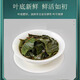 江西修水正宗野生青钱柳原叶茶清钱柳金钱柳茶中草药材养生茶 500年野生青钱柳原叶500克 500年正宗野生青钱柳原叶茶