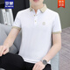罗蒙（ROMON）2025夏季新款珠地棉时尚冰丝潮牌翻领POLO.衫男士短袖t恤上衣 723#白色 2XL (建议140-155斤)