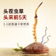 Ayishe Cordyceps Sommer Zuckermüll Geschenk gebrochen Cordyceps schickt Eltern zu den Eltern, um älteren Menschen zu Hause zu helfen, Ernährungs- und Selbstkaufsbox Large Broken Gras 100g [familie erschwingliche Paket] zu verwenden.