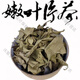 吾家余堂多穗石柯 木姜叶柯 玉叶金柯原四川梁平甜茶叶特产非青钱柳刺儿 500g袋装 多穗石柯甜茶