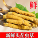 头期新鲜冬虫夏草大号鲜草顺丰冷链产地直发2025头茬新鲜虫草 西藏鲜虫草每条0.5-0.6克20条装
