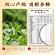 Zhonggu Yupin Tea Green Tea Special Grade Lu'an Melon Pieces New Tea Pre-Rain Strong Flavor Mid-Autumn Festival Tea Gift Box 250g