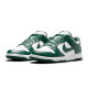 耐克（NIKE）胜道潮流 Dunk Low Retro白绿 防滑耐磨 舒适百搭 男子低帮休闲鞋 DD1391-101 42.5