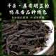 枞大师凤凰鸭屎香单枞茶叶 潮州高山乌龙单从茶