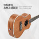 相思鸟尤克里里ukulele乌克丽丽小吉他考级练习桃花芯木21寸