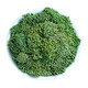 彦夕堂三七花云南文山正宗新花非野生特级正品四年田七花 三七花【100g】