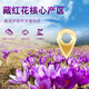 Kangyuan Tibetan Grassland Ksaffron Selected Quality Gifts for Parents, Colleagues and Teachers’ Self-use Tibetan Tonic Tea Beverage Gift Box Te Grade Filament Saffron 10/g Gift Box Pack