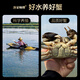 Live Crab Fisherman Master Hairy Crab Male 4.5-4.8 Female 3.5-3.8 Two 4 Pairs 8 Pieces Full Weight Fresh Crab Fresh Aquatic Gift Box