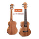 UKU UKULELEE UK200-Serie Anfänger Erwachsener Small Gitarre UKLILI hat die zehn besten Bestellungen mit Nudelliste 23-Zoll UK200C Full Peach Blossom Core Board