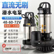 接运猫ZQB直流无刷潜48V60V电动车污切割高压高扬程大流 0点8KW4872V7米1寸