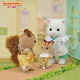 Senbeier Family Playing House Children's Toys Rural Doctor Gift Set Hospital Theme Children's Toys
