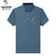 Woodpecker Short-sleeved T-shirt Men's Half-sleeved POLO Summer New Lapel Middle-aged and Young Solid Color Business Tops Paul Shirt Woodpecker 826-Narrow Blue 165/M105-120Jin [Jin equals 0.5 kg] Wear