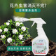 户净花卉杀虫剂植物红蜘蛛蚧壳虫蚜虫花草土壤绿植月季花病虫害常用药