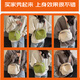 松团团 SQUIRREL.TT女包帆布2025新款贝壳包单肩包斜挎包包休闲运动旅行徒步挎包布包 白色