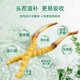 Zangxitang [First fresh grass in 2025] Fresh Cordyceps sinensis, Fresh Cordyceps sinensis, nourishing nutritional supplements, 0.6g/root, 50 roots