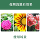 Potassium dihydrogen phosphate flower fertilizer foliar fertilizer for household flowering plants general-purpose phosphorus-potassium fertilizer flower-promoting water-soluble compound fertilizer potassium dihydrogen phosphate bag 2500g * 1 bag