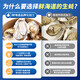 Fresh Seaway Fresh Rushan Oysters 5XL Net Weight 5Jin Jin is equal to 0.5kg 9-12 pcs Fresh Seafood and Shellfish Straight from the Source