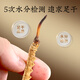 Tongrentang Brand Cordyceps sinensis alrededor de 4 raíces/G2G aproximadamente 8 raíces para personas de mediana edad y ancianos regalos nutricionales y nutritivos para la salud de Beijing Tongrentang
