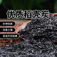 Green Garden Craftsman rice husk charcoal 1kg plant ash potted succulent rose potassium fertilizer biochar fertilizer chaff carbon nutrient soil particles