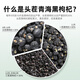 
Qilixiang Pure Grocery Black Wolfberry Big Fruit Qinghai Qaidam Black Wolfberry Black Gouqi North and South Dry Goods Tea Drink Anthocyanins [Pure Grocery] First Black Wolfberry 250g*2