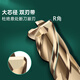 60 degree tungsten steel round nose milling cutter R angle carbide extended 75L 100L steel bull nose cutter 10R0.2 R0.5 R1 6R0.5*20*6*75*4F*60S