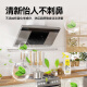 Puwudamei range hood multi-functional oil stain cleaner kitchen heavy oil stain soda fragrance 500ml*1 bottle