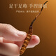 Qilixiang Cordyceps sinensis 2,5 g (10 Wurzeln) Frisch getrocknete Geschenkbox Cordyceps Dragon Boot Festival Geschenke High-End-Tonik