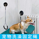 Suican pet grooming sling, lanyard, suction cup, grooming table, wire sling, dog shaving and bathing, fixed, anti-falling rope, suction cup wire model, recommended 30 Jin Jin equal to 0.5 kg, 1 beauty sling