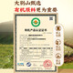 Beijing Tongrentang Break Wall Ganoderma Lucidum Spore Powder Gift Box Ganoderma Lucidum Spore Powder Inmunidad Mejora de productos Año Nuevo Caja de regalo [6 Banda de regalo de caja pequeña]